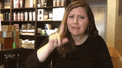 Asl Seriously GIF