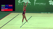 GIF by FIG Gymnastics