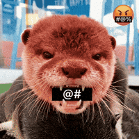 Otter GIF