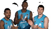 Liga Endesa Basketball Sticker by ACB
