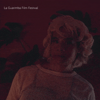 What The Hell Omg GIF by La Guarimba Film Festival