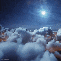 BrandyPresidente_MX super fiesta amigos luna GIF