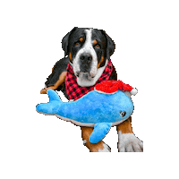 Christmas Dog Sticker by Geekster Pets