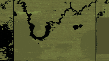sl33py0range art glitch green vhs GIF