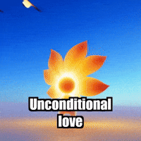 Unconditional Love Birds GIF by Bloomscroll