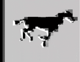 michaelpaulukonis horse glitchaesthetic GIF