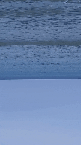 Simongip giphyupload GIF