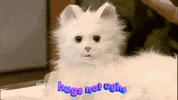 GIF by REBEKAH