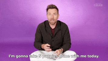 Ewan Mcgregor Puppies GIF by BuzzFeed