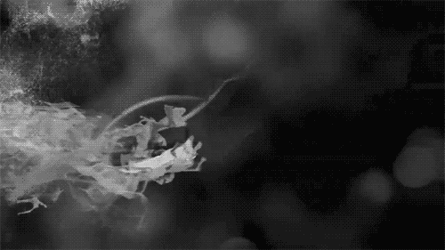 bow and arrow GIF