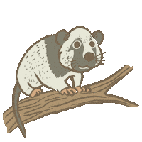 Animated Sticker