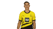 Borussia Dortmund Muscles Sticker by Bundesliga