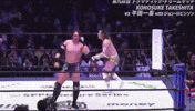 Ddt Pro Wrestling GIF