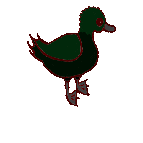 Enten Sticker