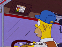 homer simpson GIF