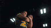 North Dakota State Bison GIF by NDSU Athletics