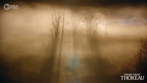 Simplify Henry David Thoreau GIF by PBS