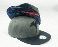 Capichecaps fire black dragon grey GIF