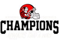 Red Raiders Football Sticker by Big Red Store