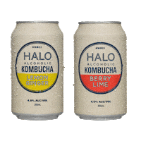 Its Good Cheers Sticker by Halo Alcoholic Kombucha