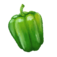 freshfromflorida pepper bell pepper green pepper bellpepper Sticker