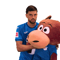 Florian Grillitsch Sport Sticker by TSG Hoffenheim