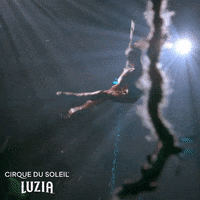 Circus Flipping GIF by Cirque du Soleil