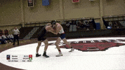 Martial Art Mma GIF by Brown University Wrestling