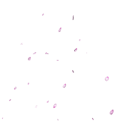 Sticker gif. Pink and white sakura petals fall delicately across the frame.