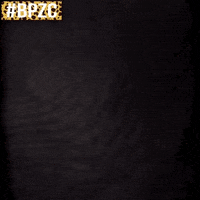 barracuda bpzc GIF by Kacper Salamon Fotografia