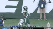 Regular Season Football GIF by NFL
