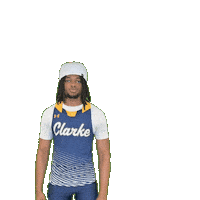 Clarke Athletics Sticker by Clarke University