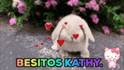 besitos GIF