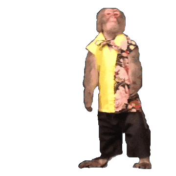 Fun Monkey Sticker