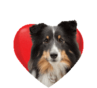 dog love Sticker by Tales&Tails