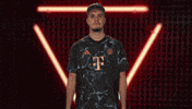 Bayern Munich Football GIF by Bundesliga