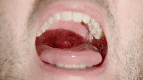 mouth sprayer GIF by dan 