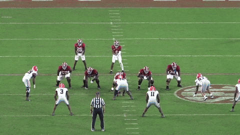 mascho030916 giphyupload GIF