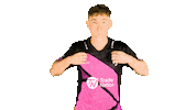 Badge Sticker by Somerset County Cricket Club