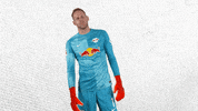 Save The Wall GIF by RB Leipzig