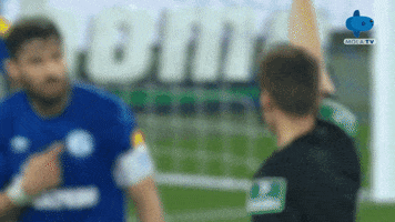 Happy Celebration GIF by MolaTV