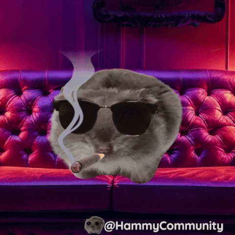 Sunglasses Smoking GIF by Sad Hamster