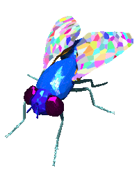 3D Fly GIF by badblueprints