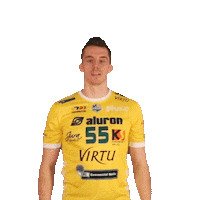 2-3 Virtu Sticker by Aluron CMC Warta Zawiercie