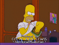 homer simpson episode 6 GIF