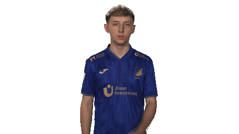 Tsg Hoffenheim Vbl Sticker by Bundesliga