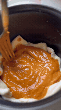 Pumpkin Pie In A Rice Cooker | Rice Robot