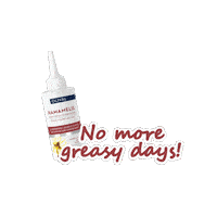 Refresh Delight Sticker by Olival Cosmetics