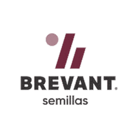 Brevant Sticker by Cortevapy