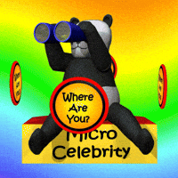 Where Are You Celebrity GIF